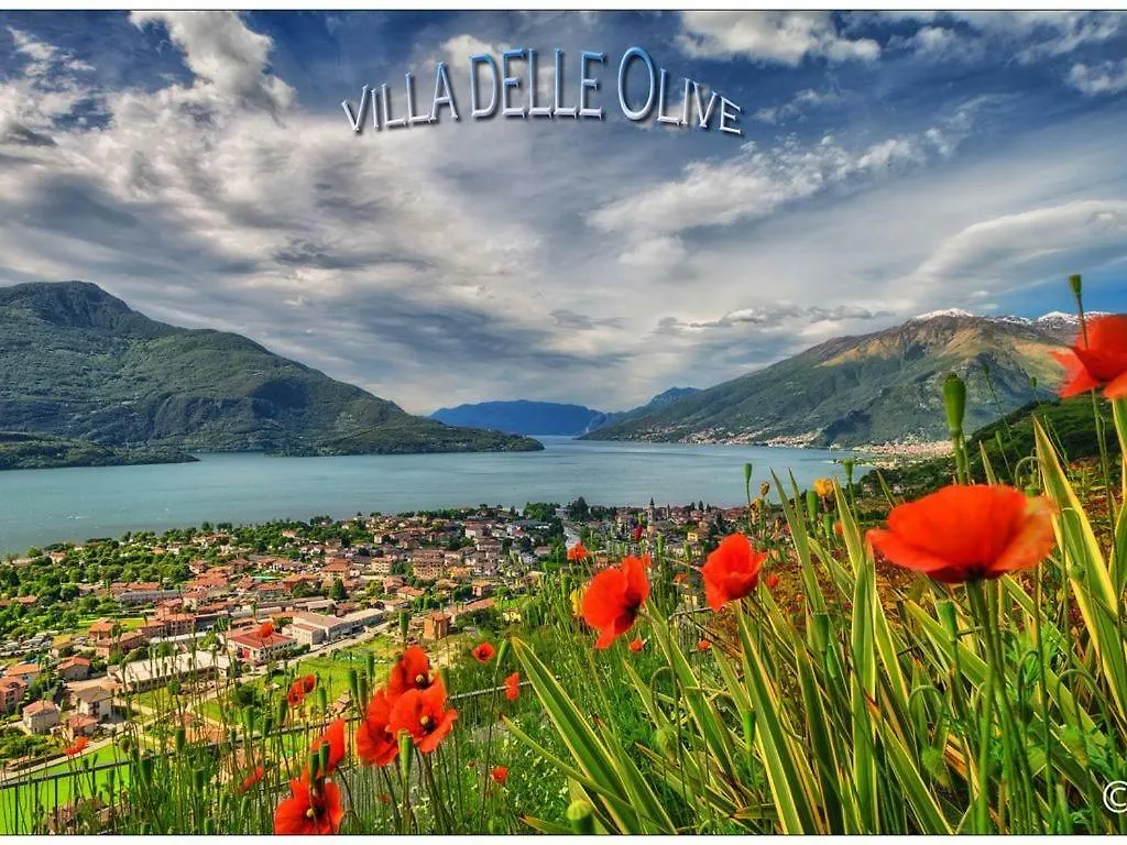 Lejlighed Villa Delle Olive Vercana